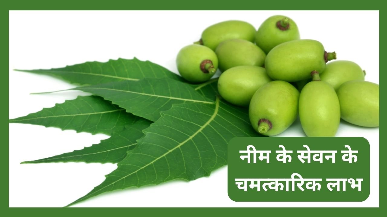 Neem Benefits in Hindi